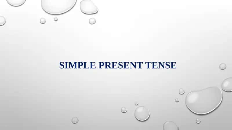 Simple Present Tense
