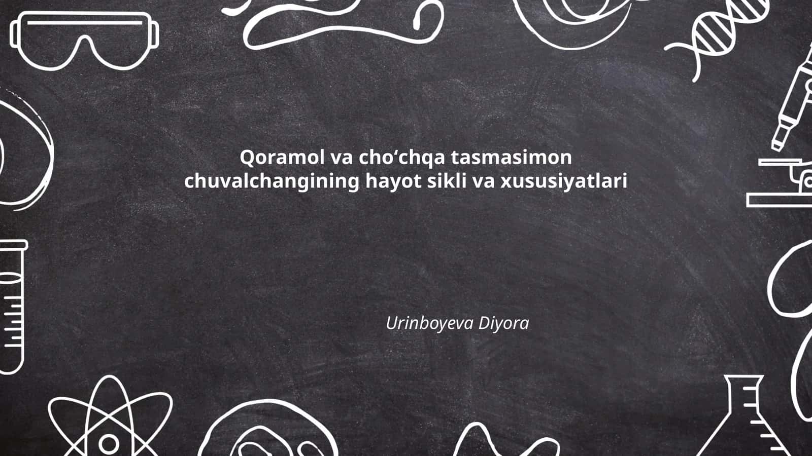 Qoramol va choʻchqa tasmasimon chuvalchangining hayot sikli va xususiyatlari