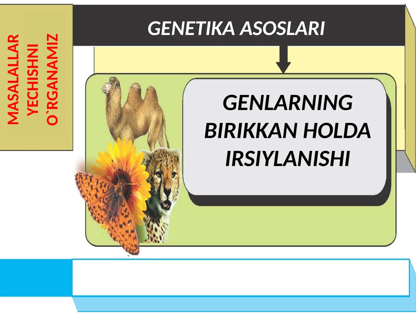 GENETIKA ASOSLARI
