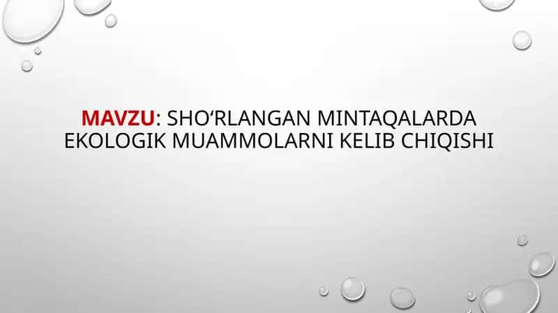 Shoʻrlangan mintaqalarda ekologik muammolarni kelib chiqishi