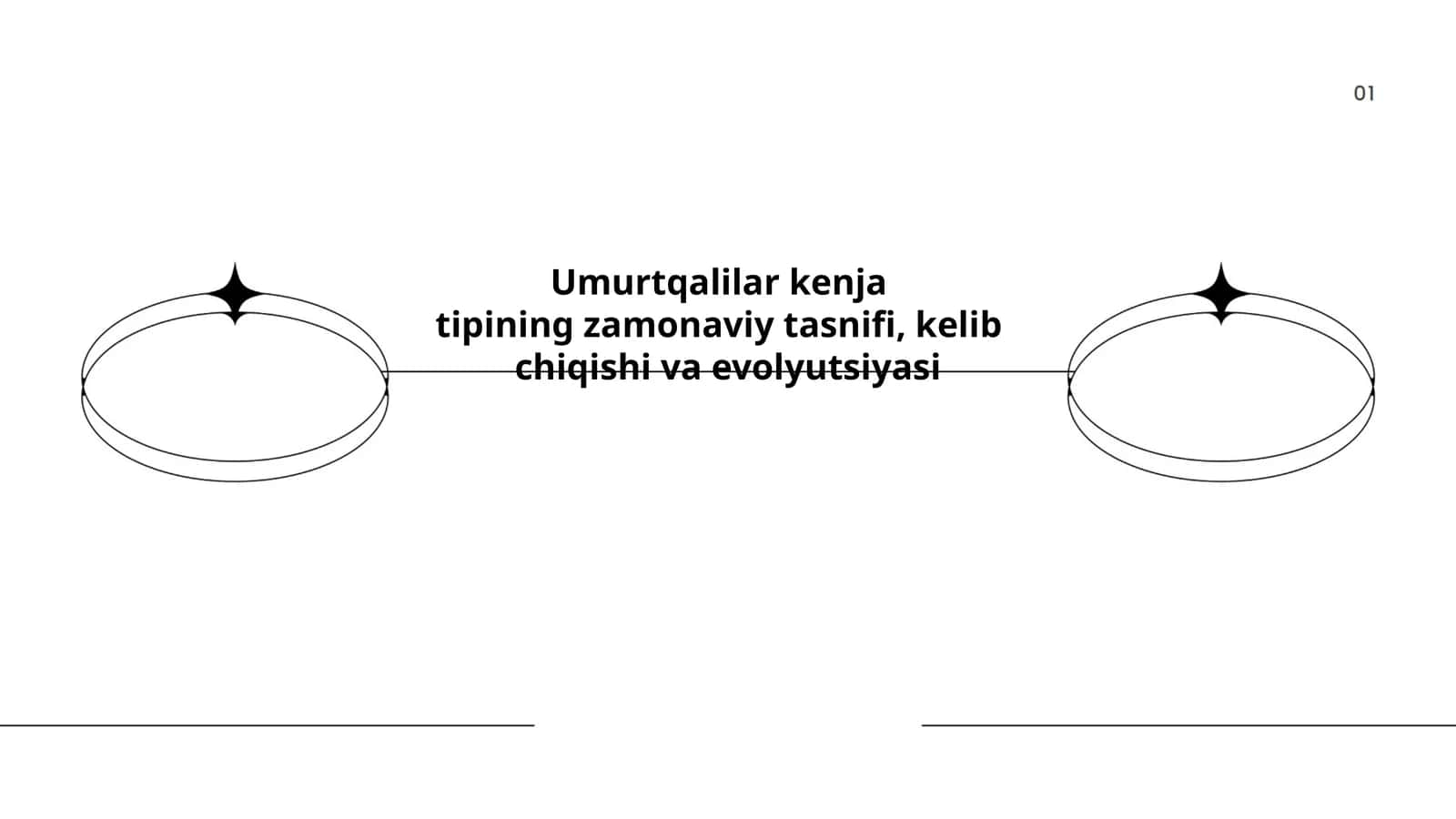 Umurtqalilar kenjatipining zamonaviy tasnifi, kelibchiqishi va evolyutsiyasi