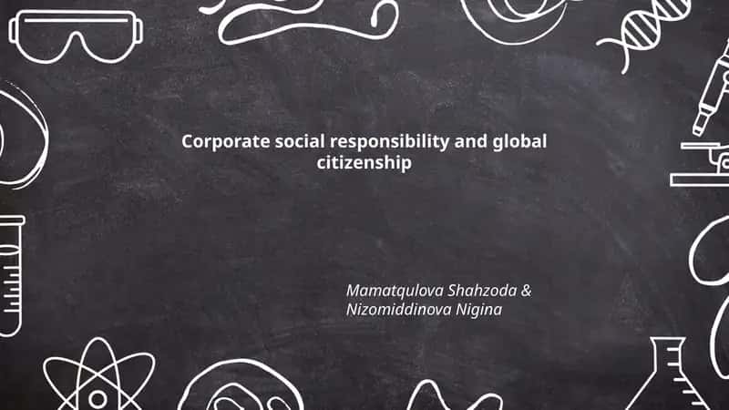 Corporate social responsibility and global citizenship