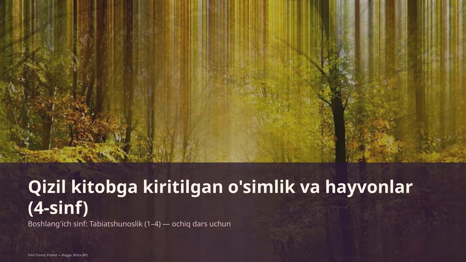 Qizil kitobga kiritilgan o'simlik va hayvonlar (4-sinf)