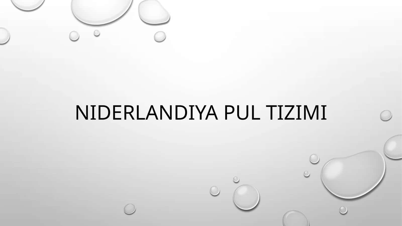 Niderlandiya pul tizimi