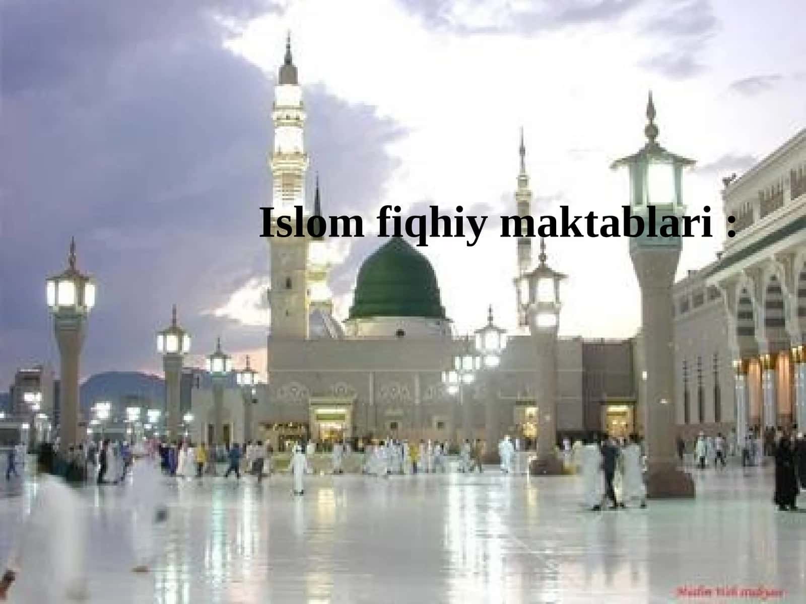 Islom fiqhiy maktablari
