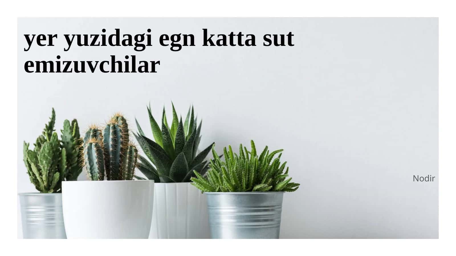 yer yuzidagi egn katta sut emizuvchilar