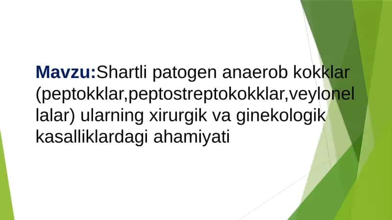 Shartlipatogen anaerob kokklar (peptokklar, peptostreptokokklar, veylonellalar)