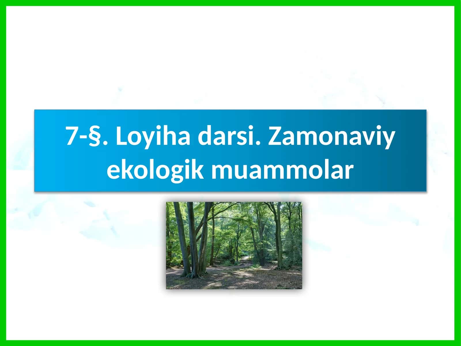 Loyihadarsi. Zamonaviy ekologik muammolar