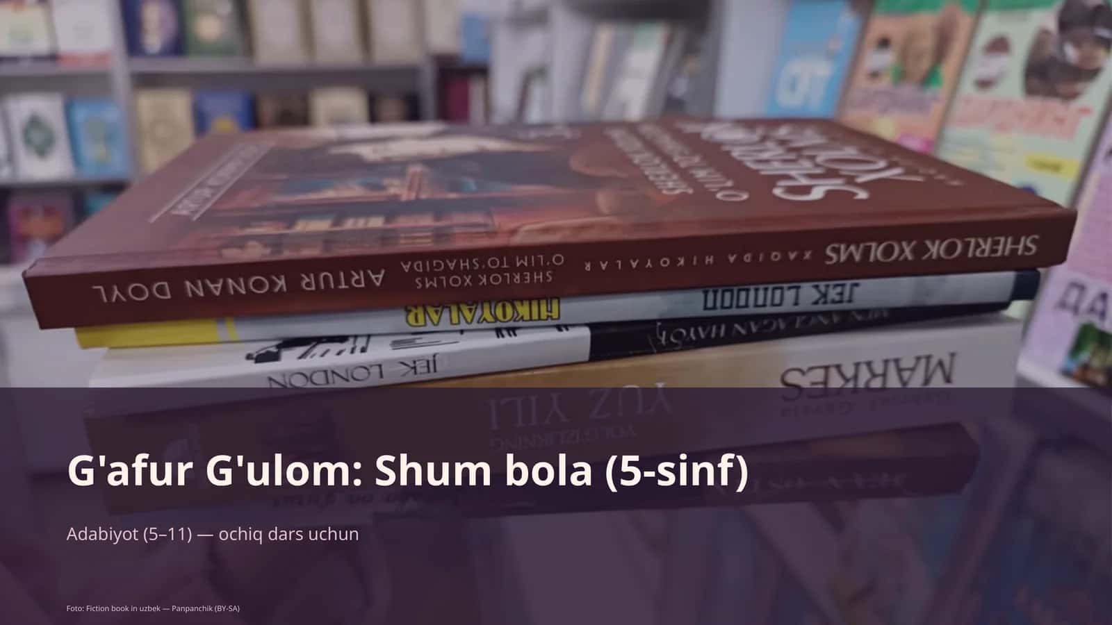 G'afur G'ulom: Shum bola (5-sinf)