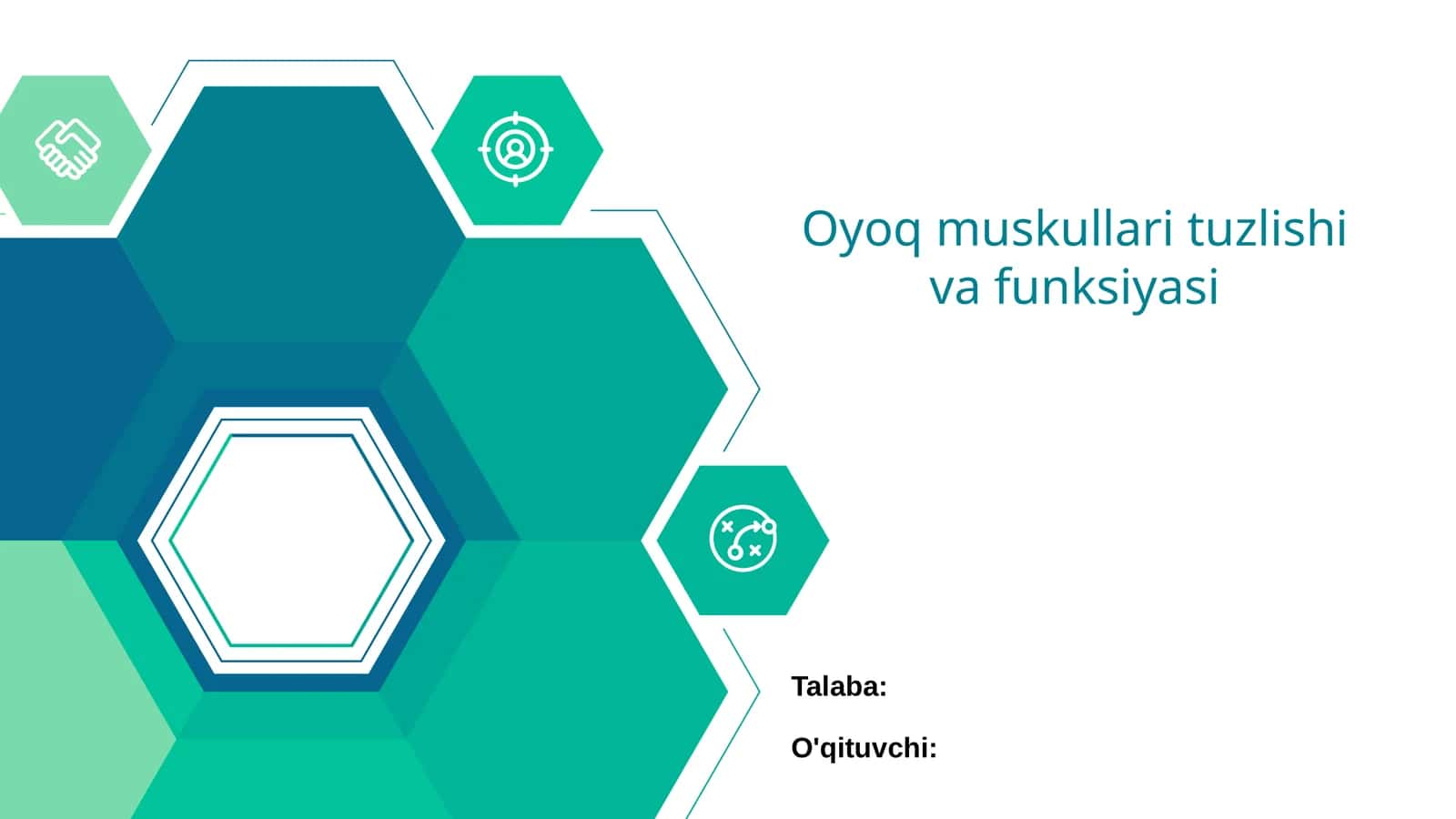 Oyoq Muskullari Tuzlishi va Funksiyasi