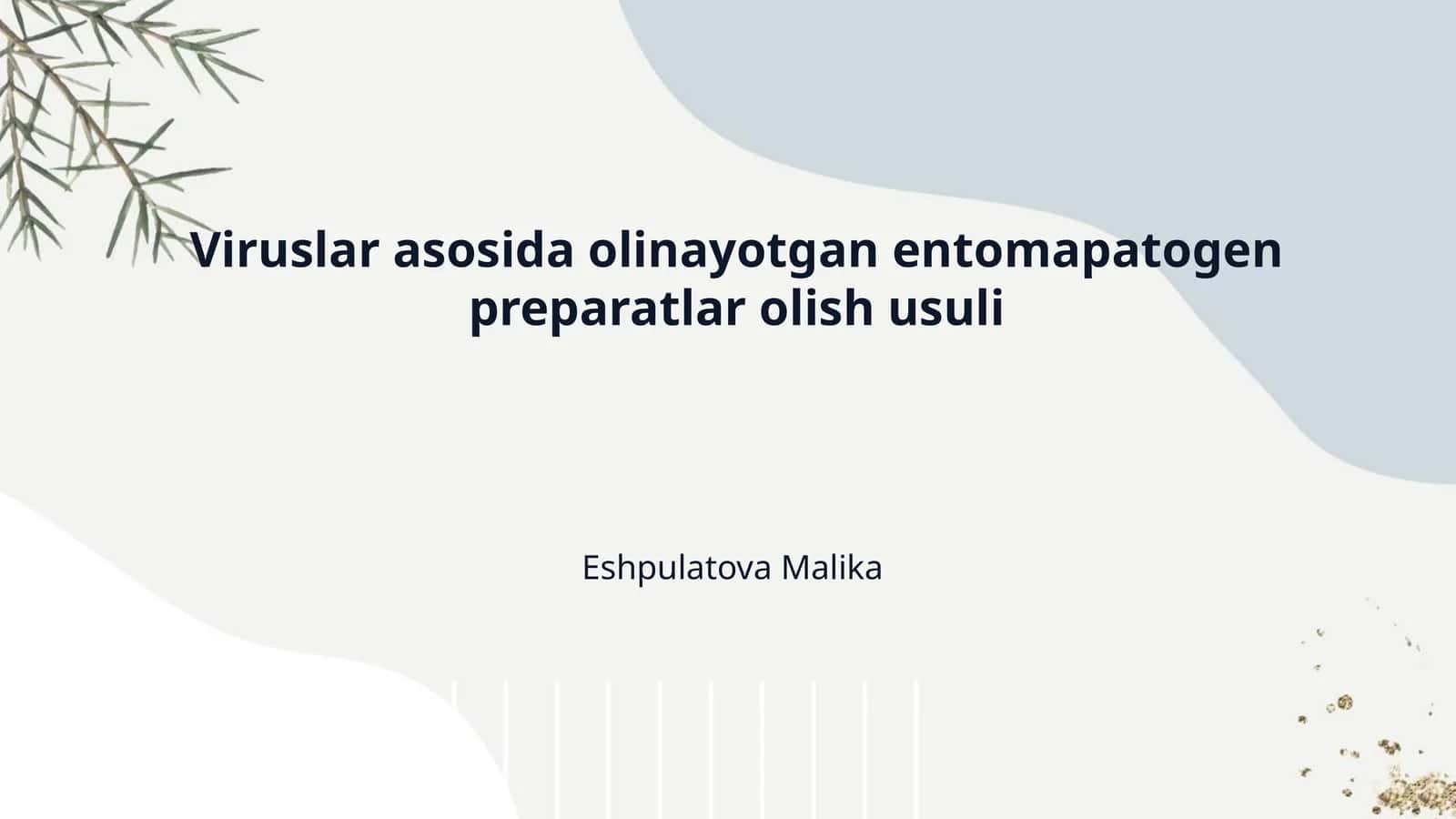 Viruslar asosida olinayotgan entomapatogen preparatlar olish usuli