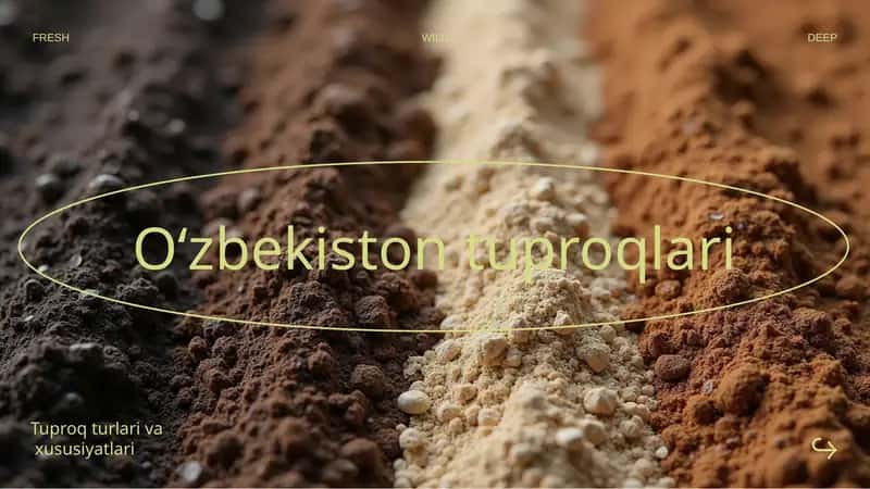 O‘zbekiston tuproqlari