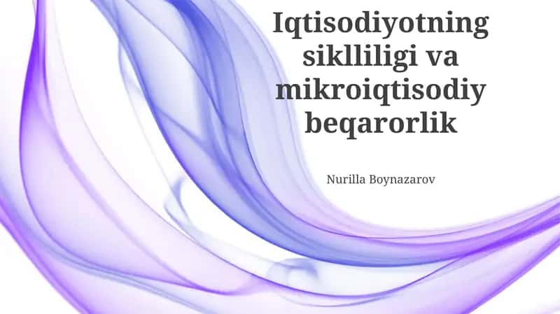 Iqtisodiyotning siklliligi va mikroiqtisodiy beqarorlik