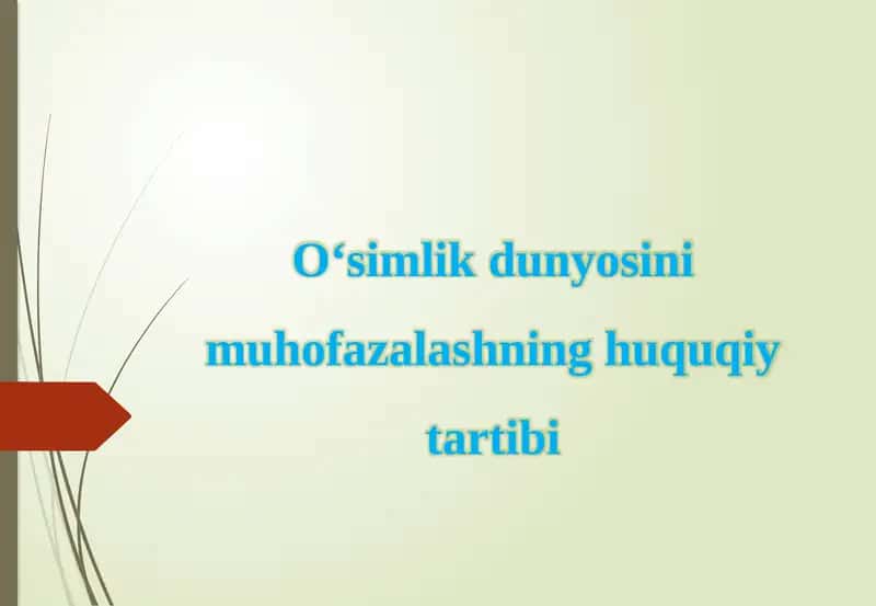 O‘simlik dunyosini muhofazalashning huquqiy tartibi