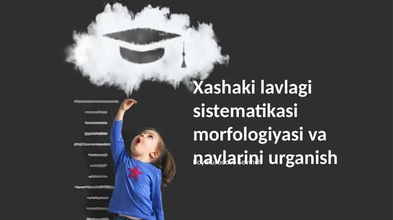 Xashaki lavlagi taksonomiyasi