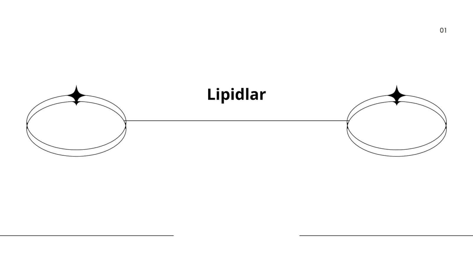 Lipidlar