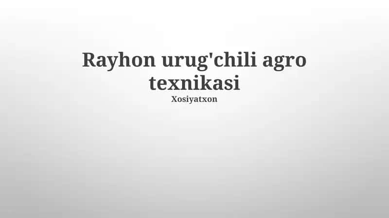 Rayhon urug'chili agro texnikasi