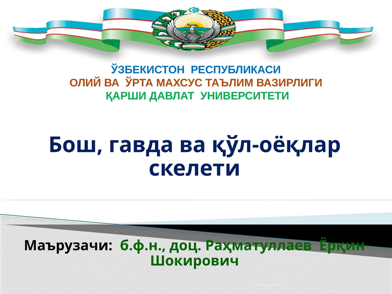 Бош, гавда ва қўл-оёқлар скелети