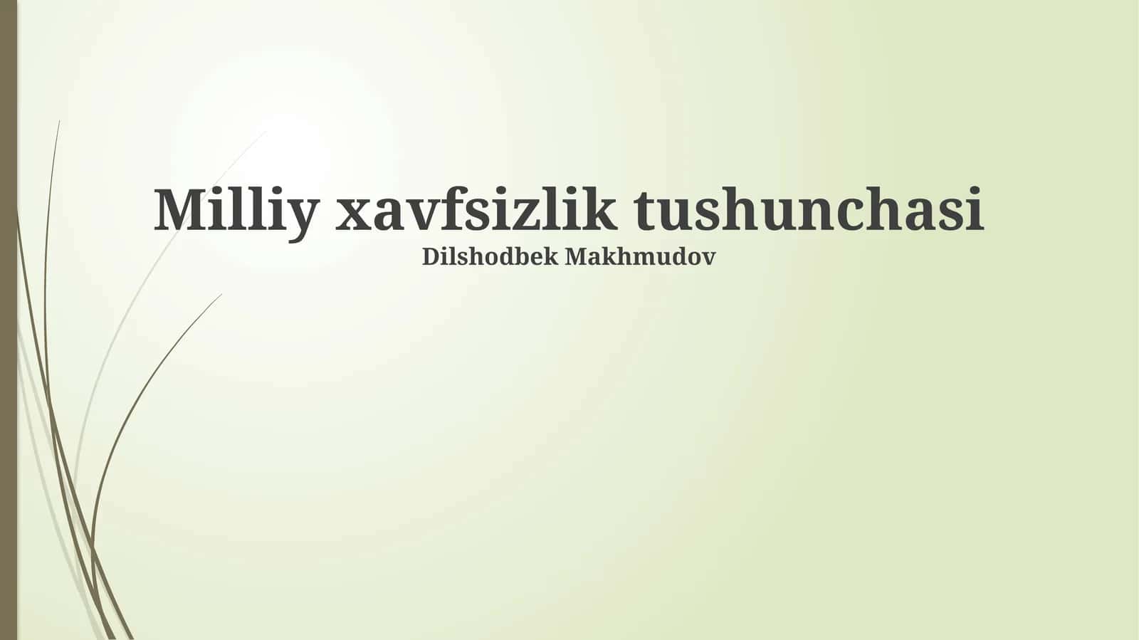 Milliy xavfsizlik tushunchasi