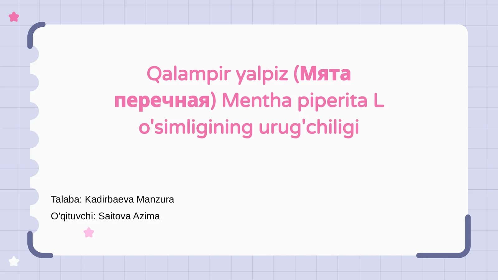 Qalampir yalpiz (Мята перечная)