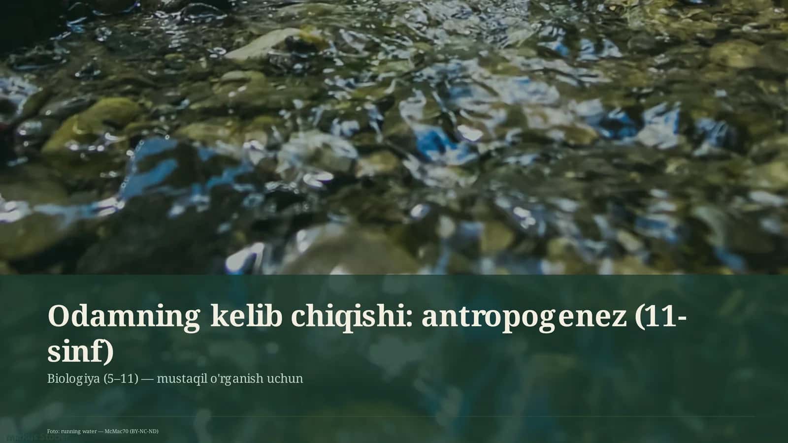 Odamning kelib chiqishi: antropogenez (11-sinf)