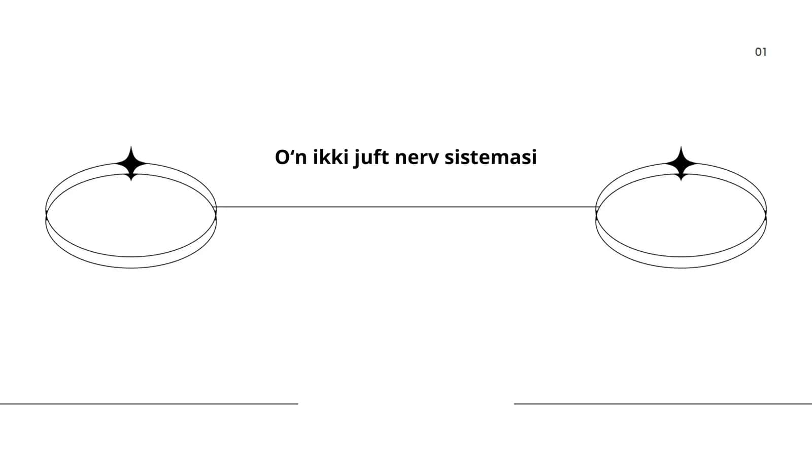Oʻn ikki juft nerv sistemasi