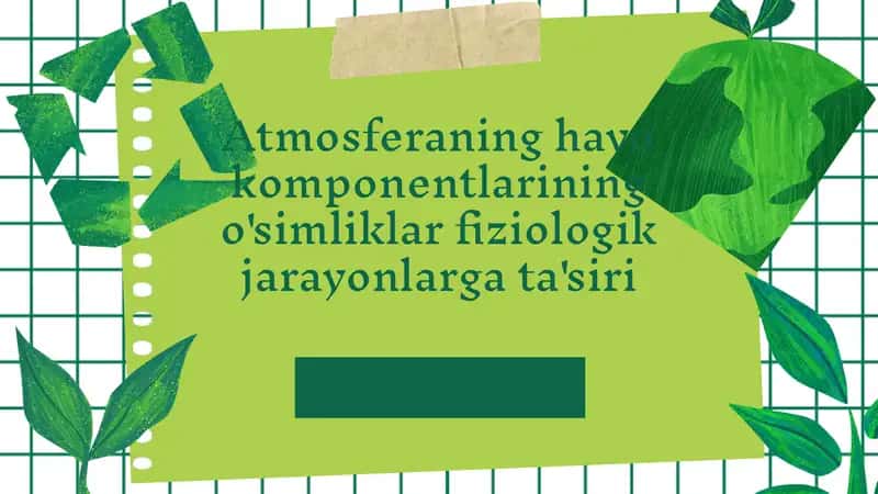 Atmosferaning havo komponentlarining o'simliklar fiziologik jarayonlarga ta'siri