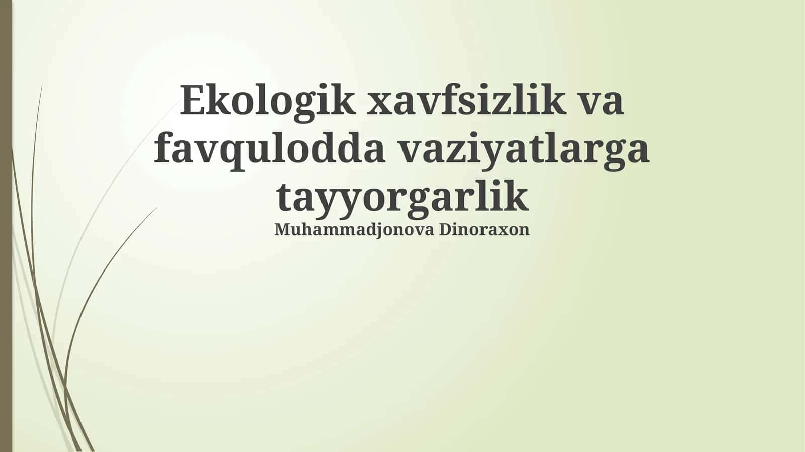 Ekologik xavfsizlik va favqulodda vaziyatlarga tayyorgarlik