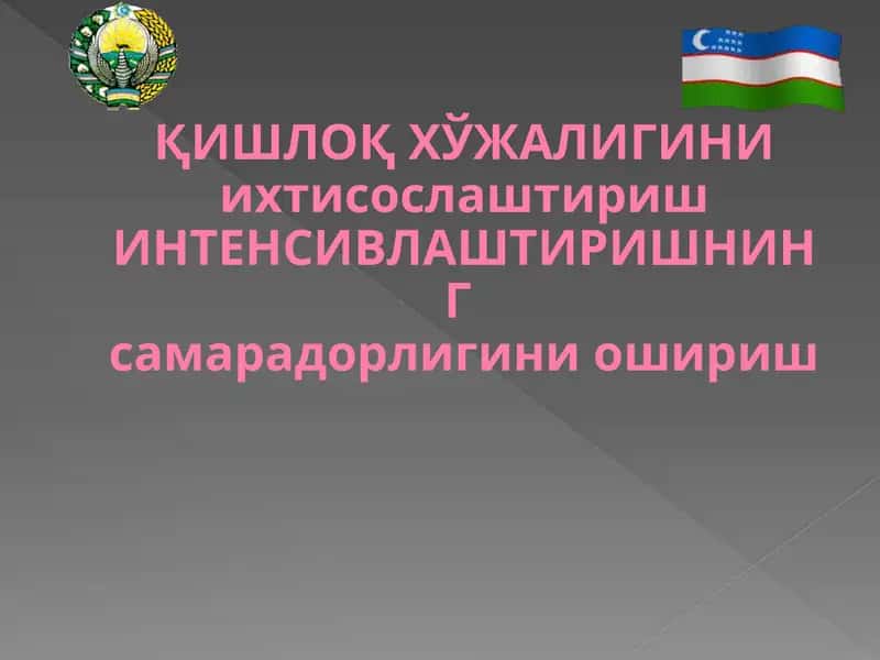 ҚИШЛОҚ ХЎЖАЛИГИНИ ихтисослаштириш ИНТЕНСИВЛАШТИРИШНИНГ самарадорлигини ошириш