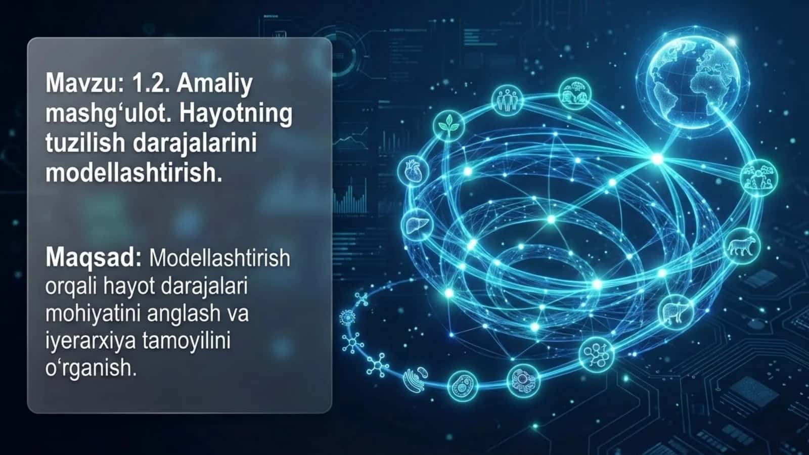 Hayotning tuzulish darajalarini modellashtirish
