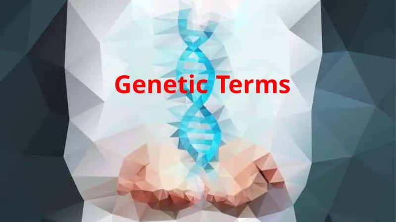 GeneticTerms