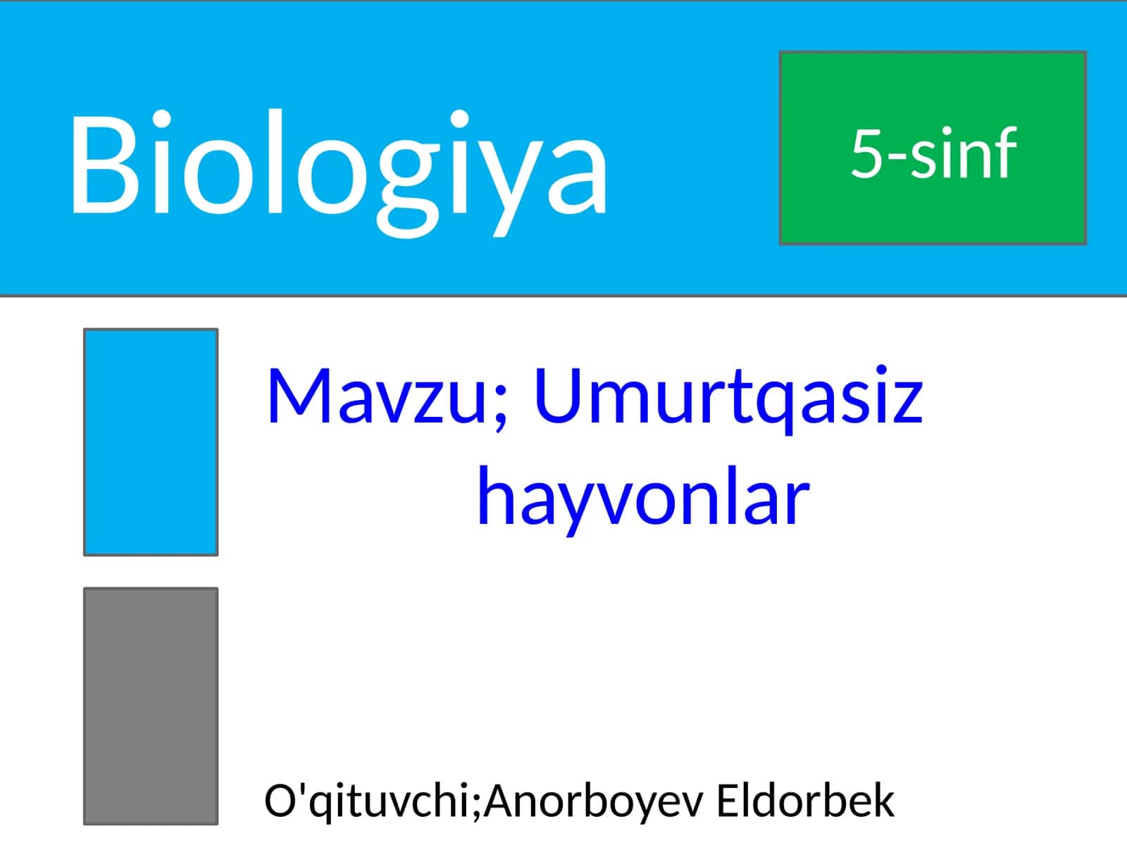 Umurtqasiz hayvonlar