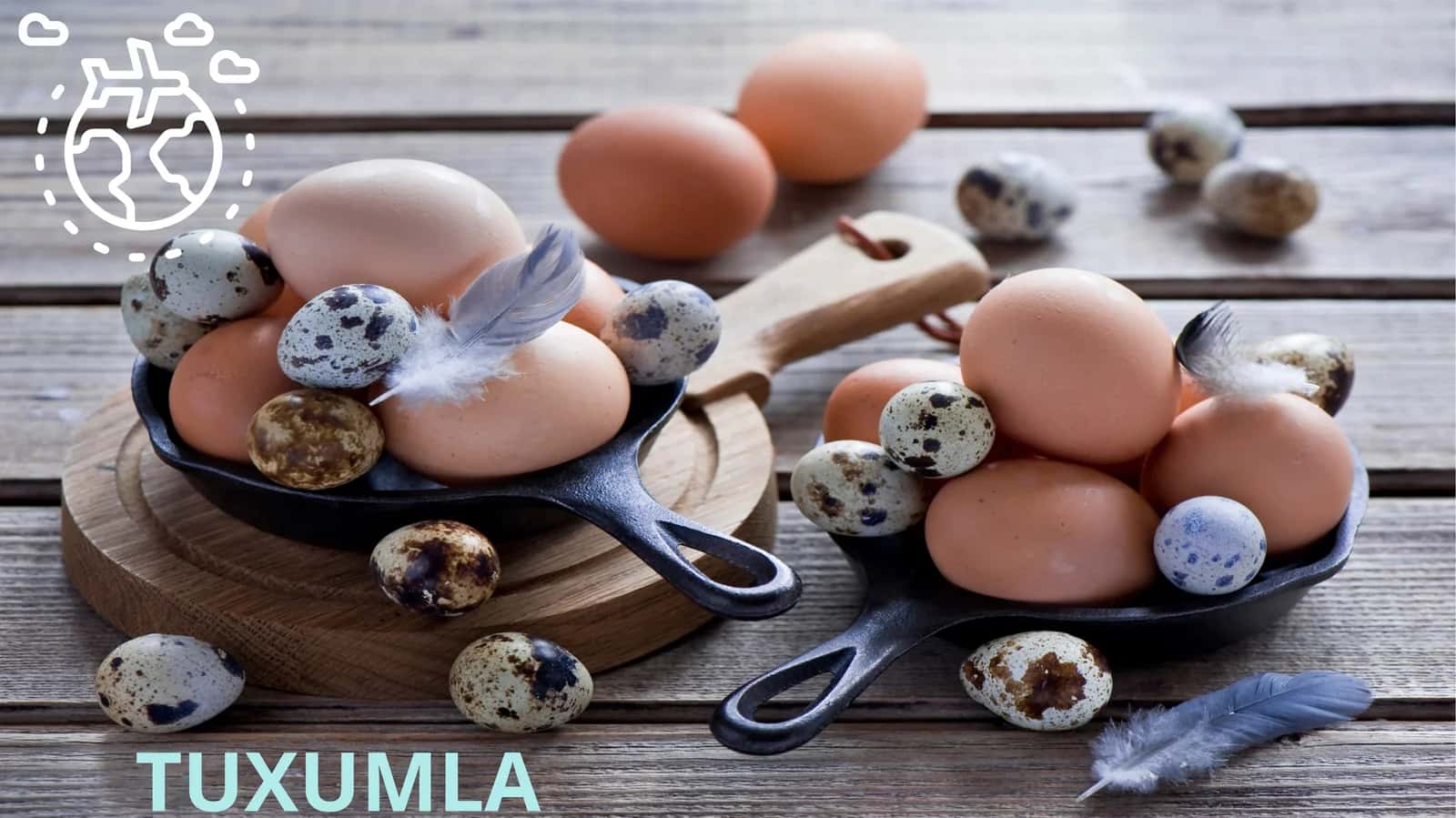 Tuxumlar