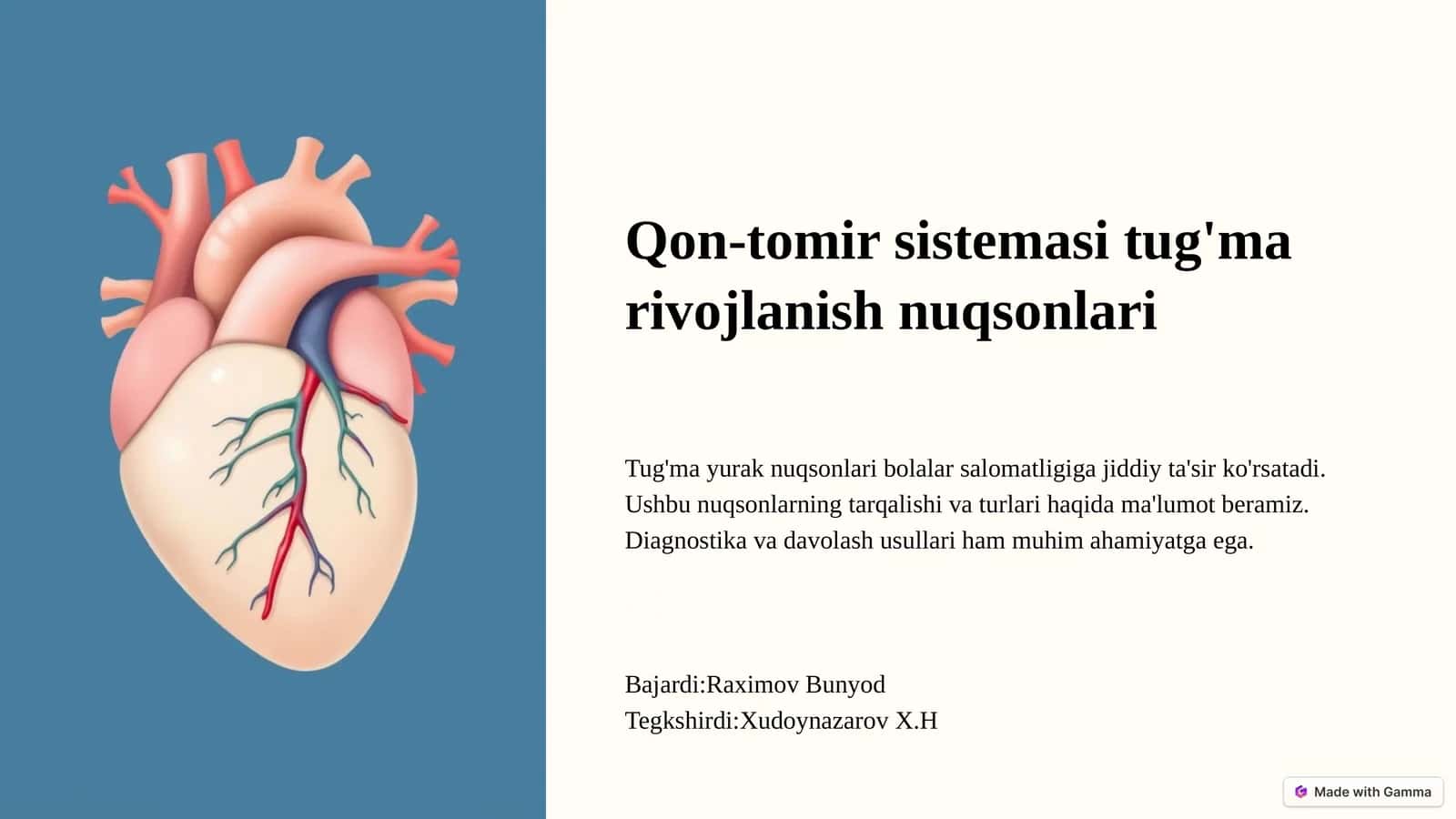 Qon-tomir sistemasi tug'ma rivojlanish nuqsonlari