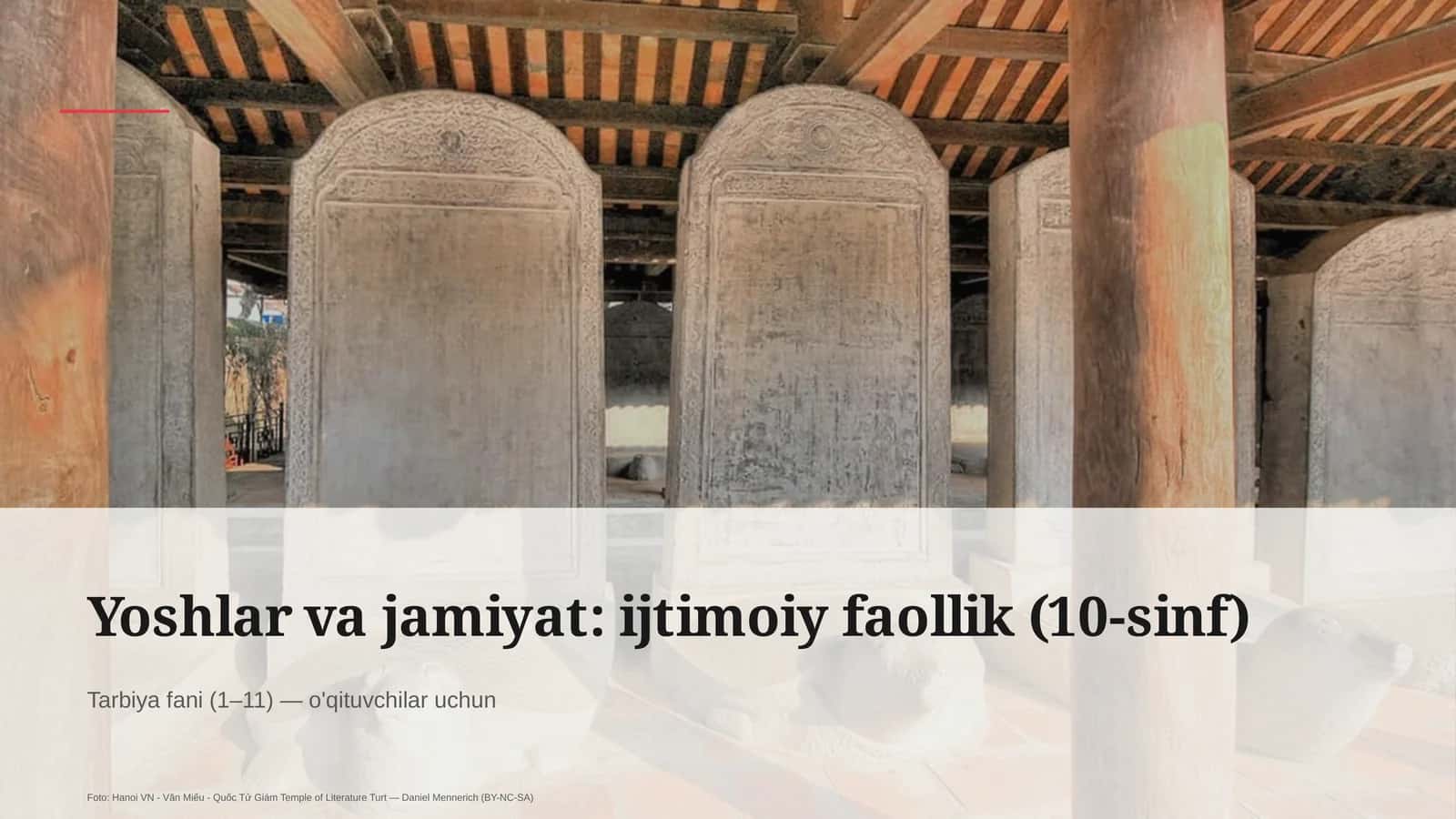 Yoshlar va jamiyat: ijtimoiy faollik (10-sinf)