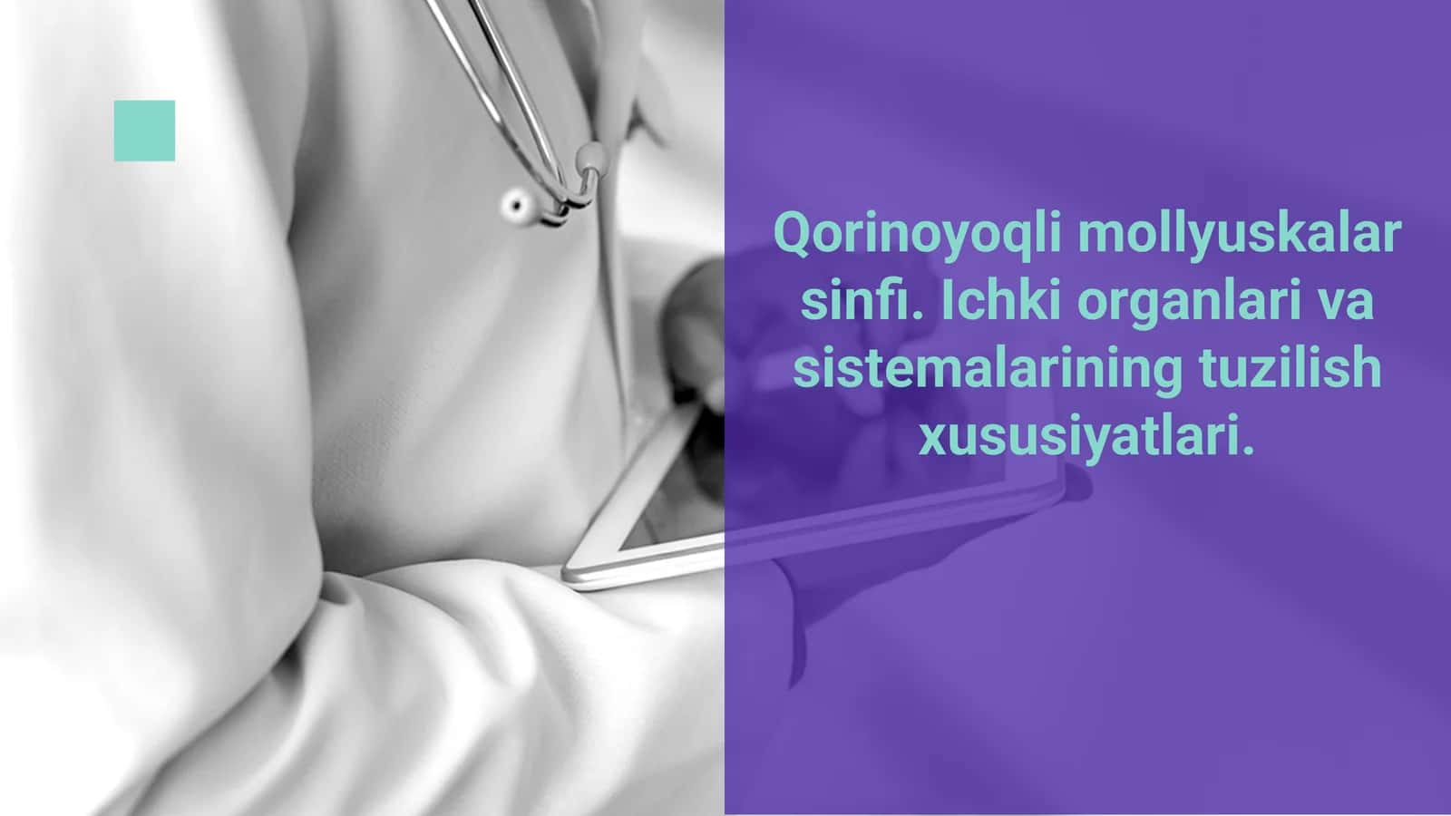 Qorinoyoqli mollyuskalar sinfi
