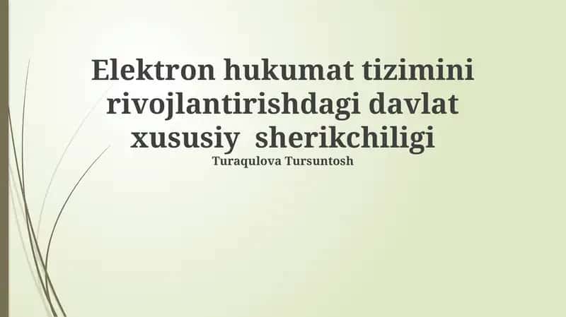Elektron hukumat tizimini rivojlantirishdagi davlat xususiy sherikchiligi
