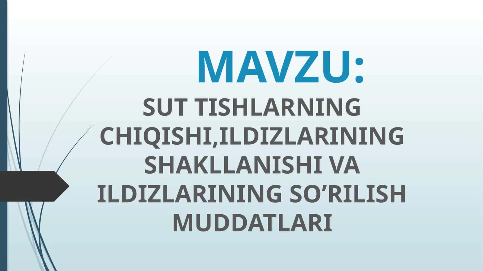 SUT TISHLARNING CHIQISHI,ILDIZLARINING SHAKLLANISHI VA ILDIZLARINING SO’RILISH MUDDATLARI
