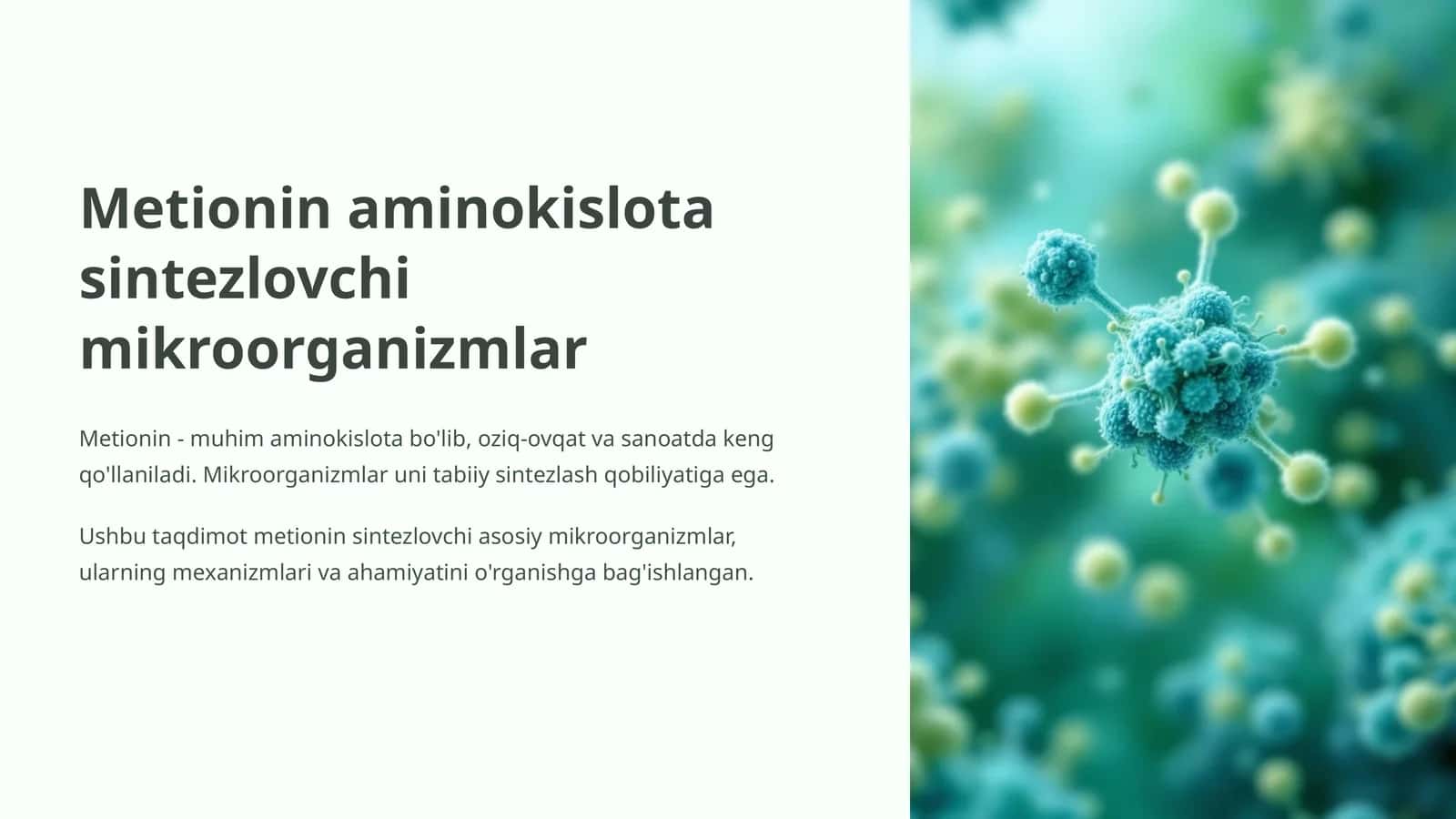 Metionin aminokislota sintezlovchi mikroorganizmlar