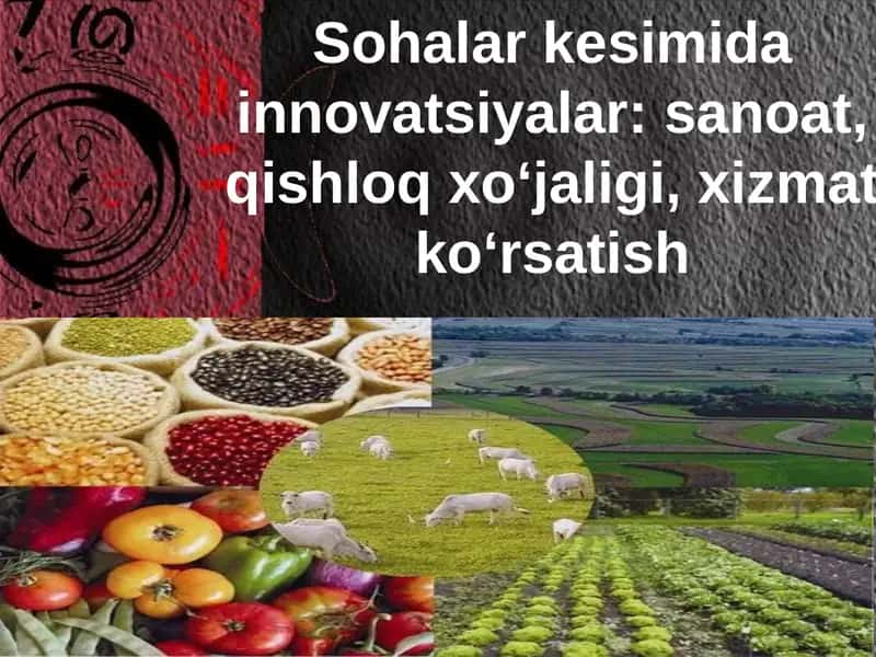 Qishloq xo'jaligi