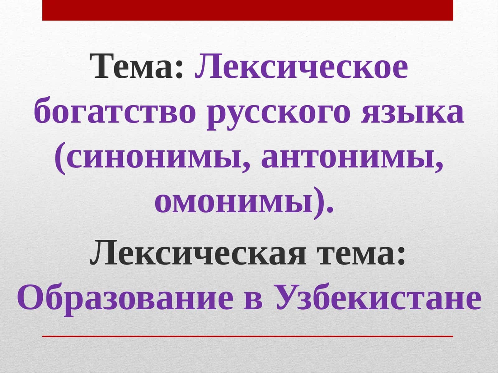 Лексическоебогатство русского языка (синонимы, антонимы, омонимы)