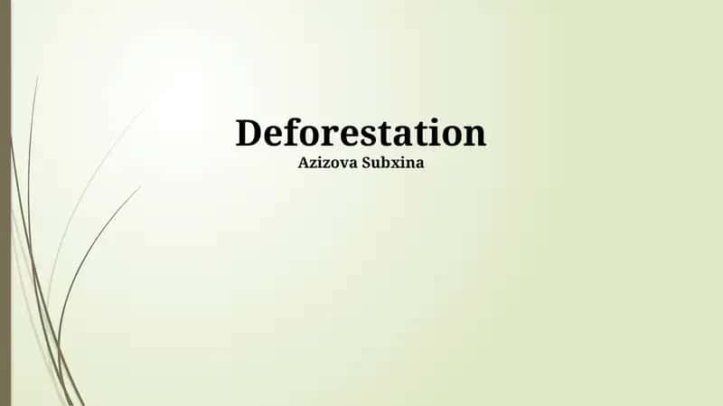 Deforestation