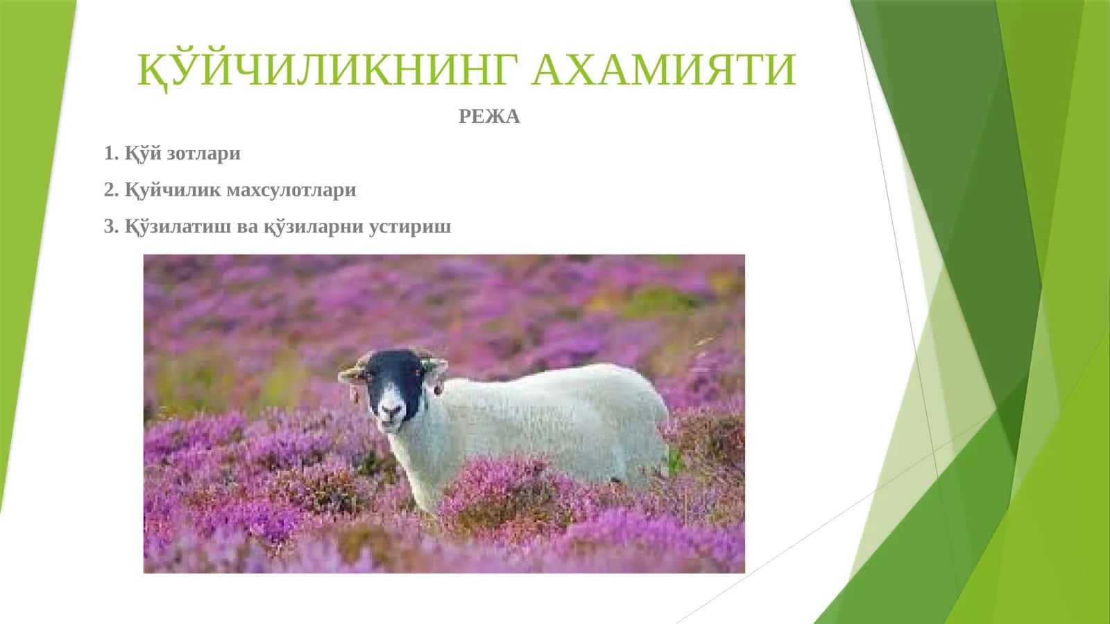 ҚЎЙЧИЛИКНИНГ АХАМИЯТИ