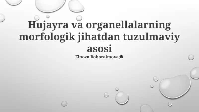 Hujayra va organellalarning morfologik jihatdan tuzulmaviy asosi