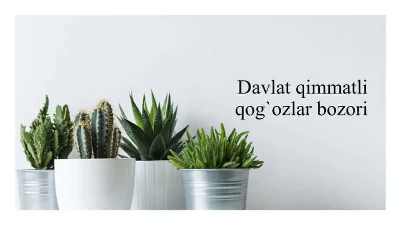 Davlat qimmatli qog`ozlar bozori
