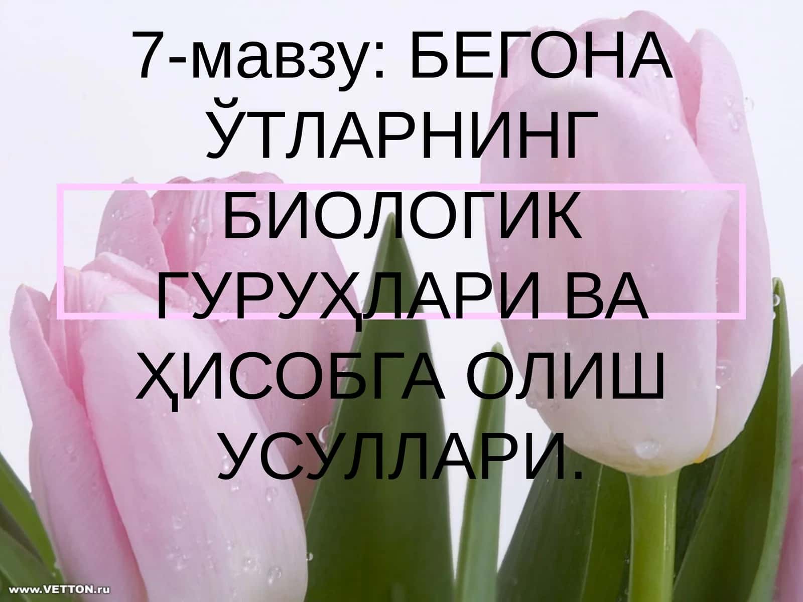 БЕГОНА ЎТЛАРНИНГ БИОЛОГИК ГУРУҲЛАРИ ВА ҲИСОБГА ОЛИШ УСУЛЛАРИ