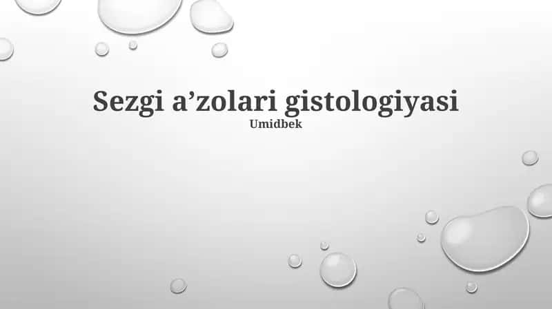 Gangliy hujayra gistologiyasi