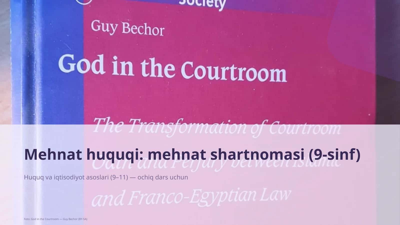 Mehnat huquqi: mehnat shartnomasi (9-sinf)