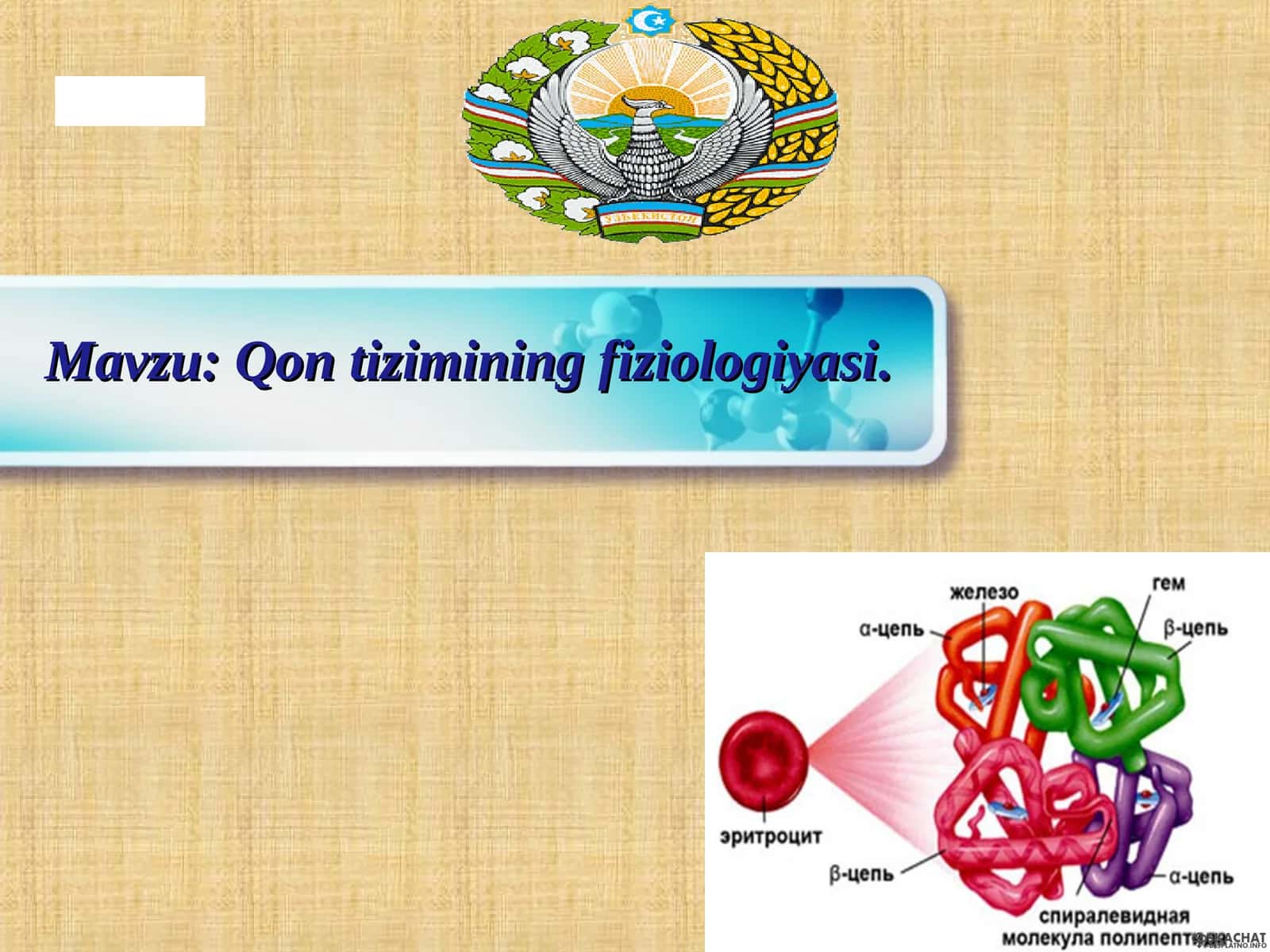 Qon tizimining fiziologiyasi