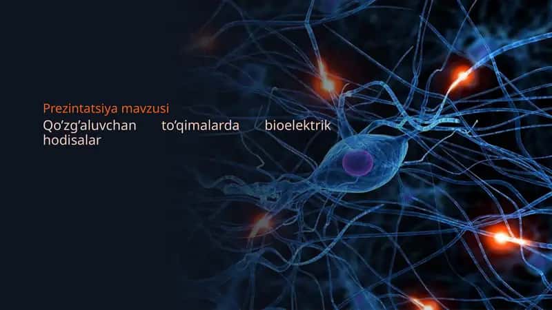 Qo’zg’aluvchan to’qimalarda bioelektrik hodisalar